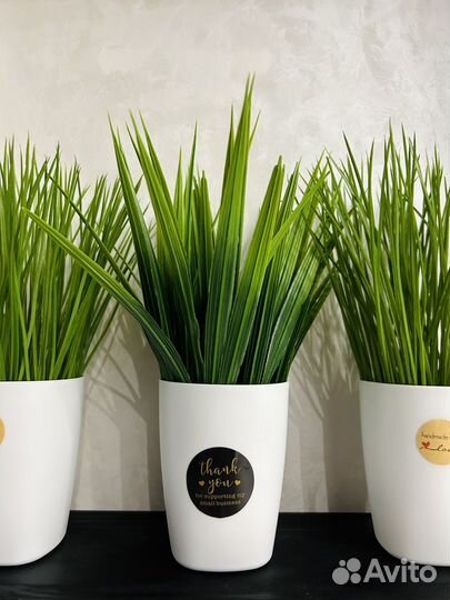 Искусственные растения, осока