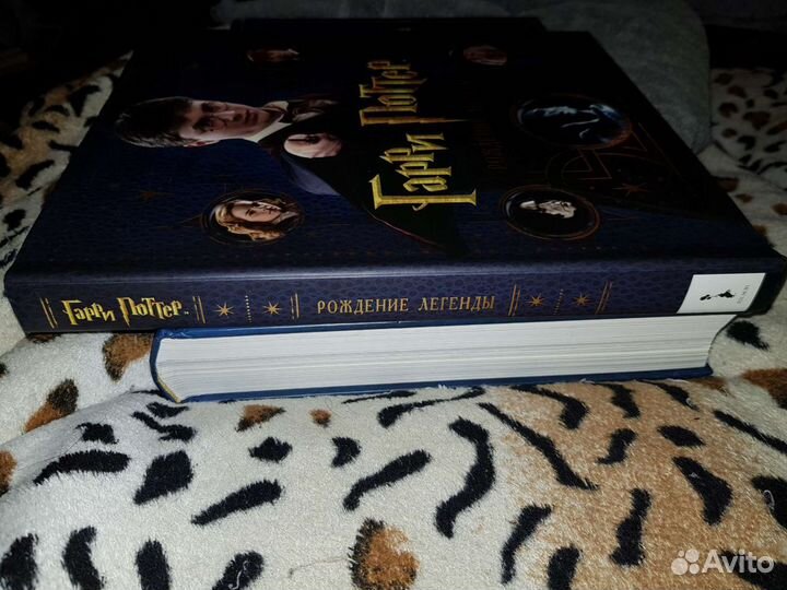 Гарри Поттер. Рождение легенды
