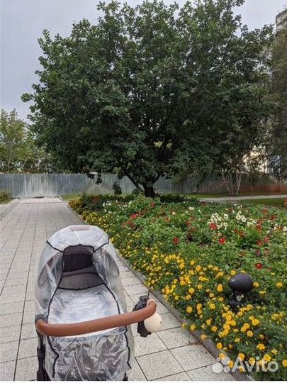 Коляска Bexa ultra 2 в 1