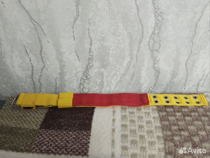 Ошейник для собак