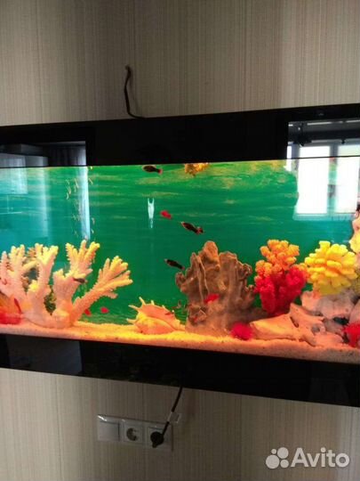 Настенные аквариумы размеры разные