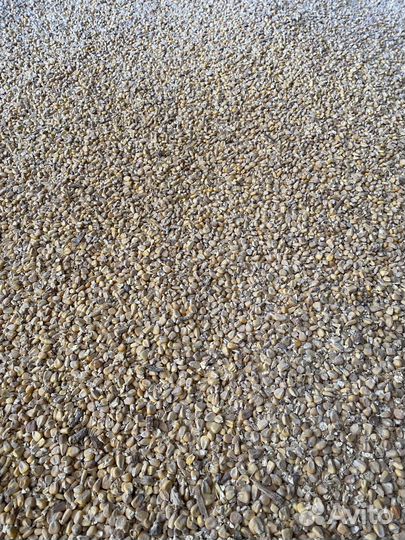 Комбикорм от производителя