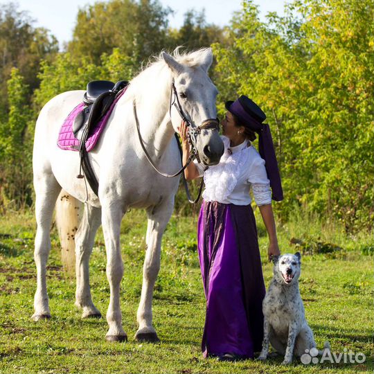 Конная прогулка