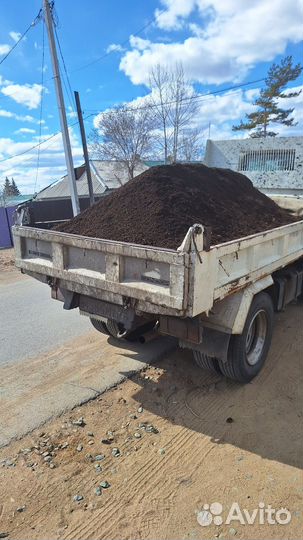 Перегной Чернозем