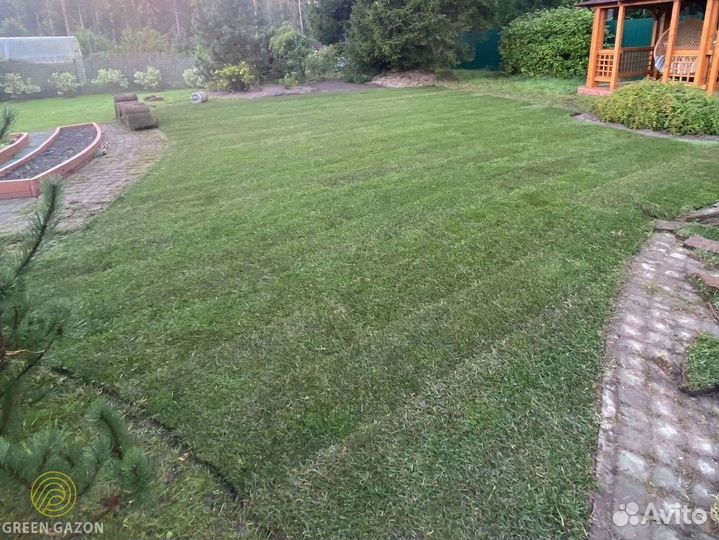 Рулонный газон в наличии под ключ