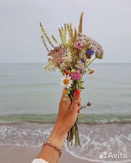 Слушатель собеседник друг на час