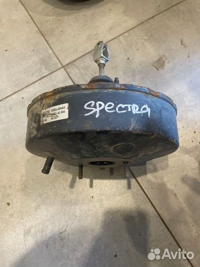 Вакуумный усилитель тормозов Kia Spectra