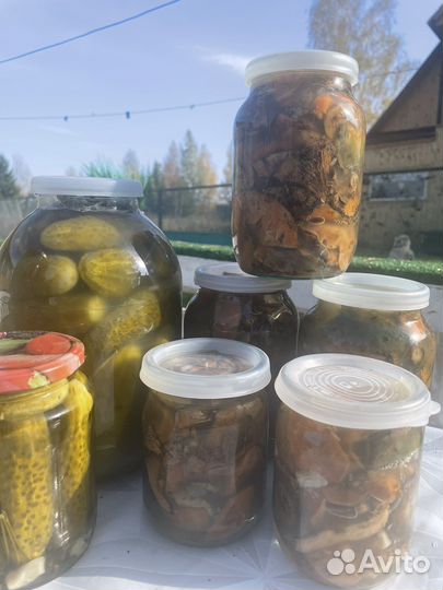 Грибы рыжики и другие соленые и маринованые огурцы