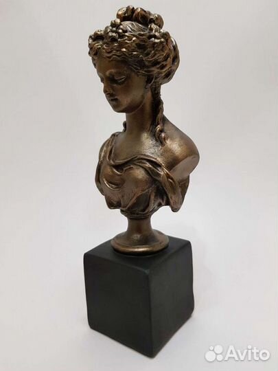 Бюст девушки