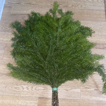 Веники из пихты