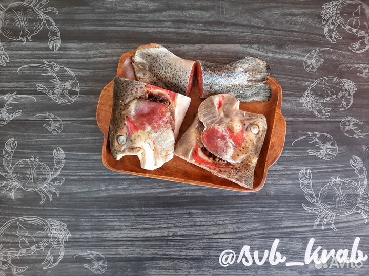 Головы Семги