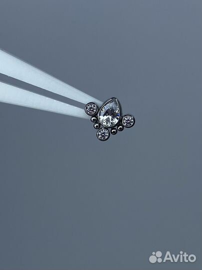 Профессиональные услуги пирсинга/прокола ушей