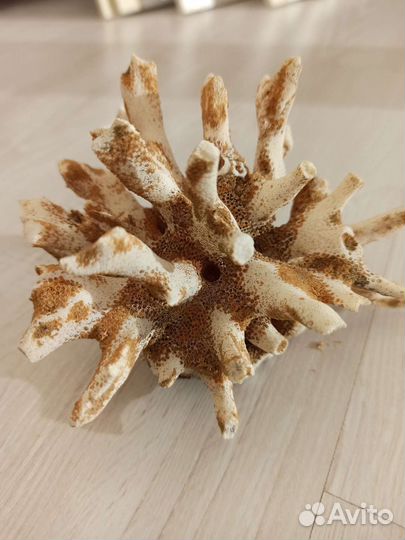 Аквариумные принадлежности