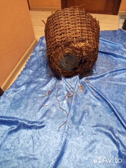 Бутыль СССР 30 литров. С корзиной