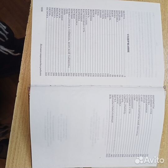 Большая энциклопедия рыбалки