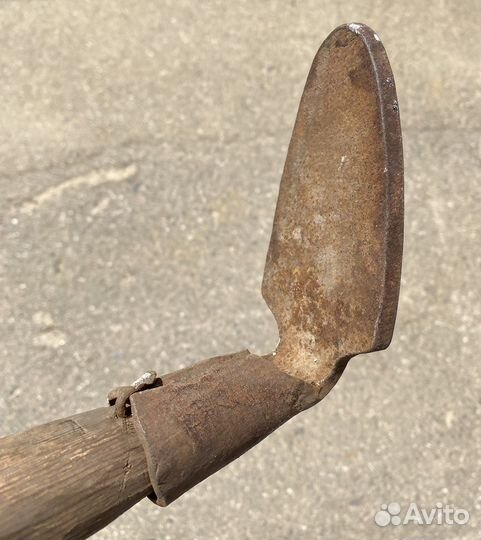 Лапа сапожная