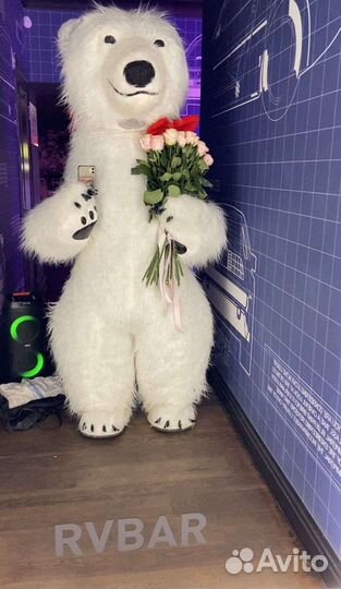 Белый медведь поздравление.Подарок