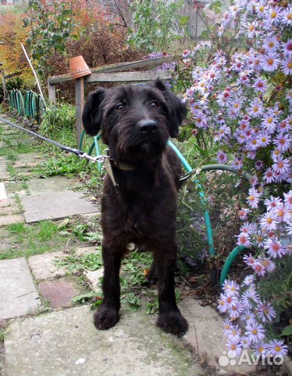 Очаровательный мальчик