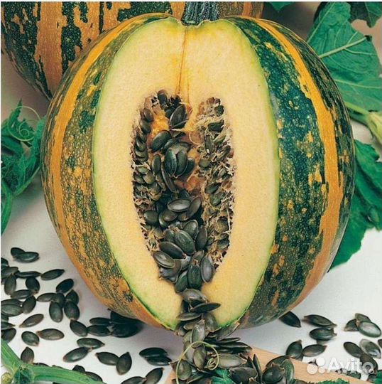 Семена вкусных тыкв