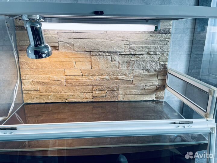 Террариум для рептилий