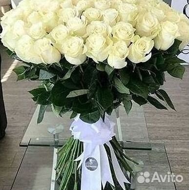 Высокие розы Гигантские Розы 150 160 170 180 190см