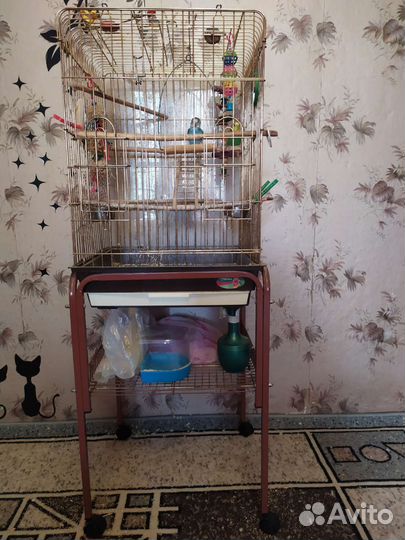 Клетка для попугая