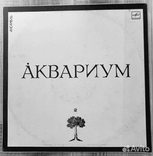 Для Александра