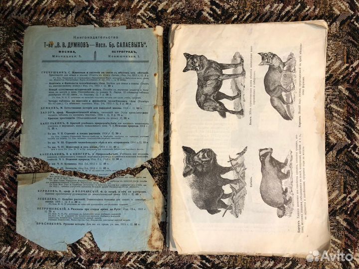 Туркестан. География и история края, 1916