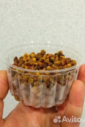 Перга пчелиная