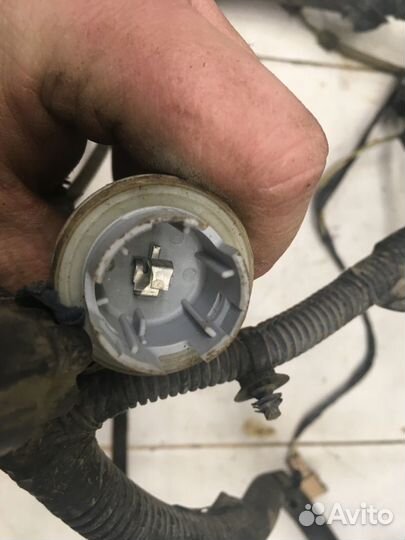 Проводка (коса) Focus I 1998-2004