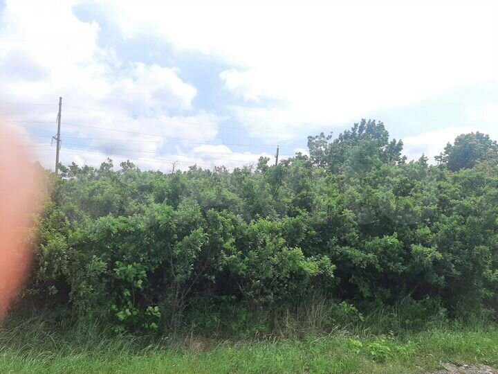 Участок 6,2 сот. (СНТ, ДНП)