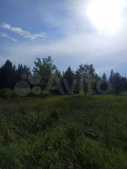 Участок 12 сот. (ИЖС)