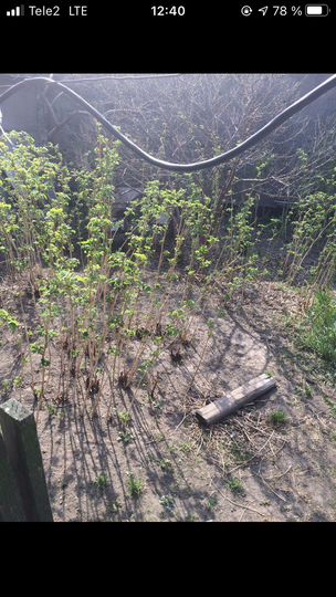 Дом 70,5 м² на участке 6 сот.