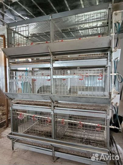 Клетка для птиц
