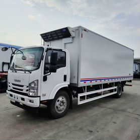 Isuzu Elf (N-series), 2024