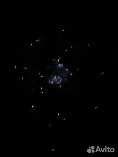 Гирлянда с прищепками для фото