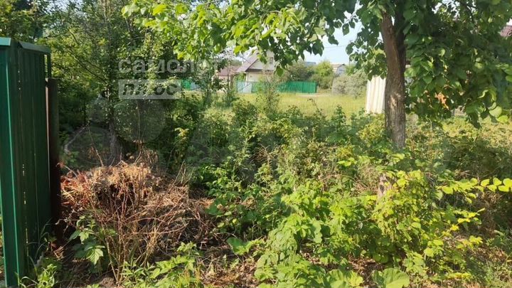 Участок 12,5 сот. (СНТ, ДНП)