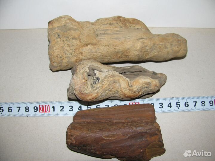 Окаменелое дерево (в коллекцию)