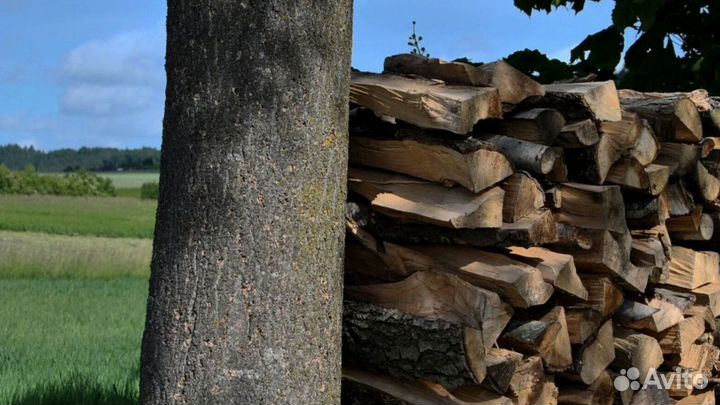 Дрова без гнили