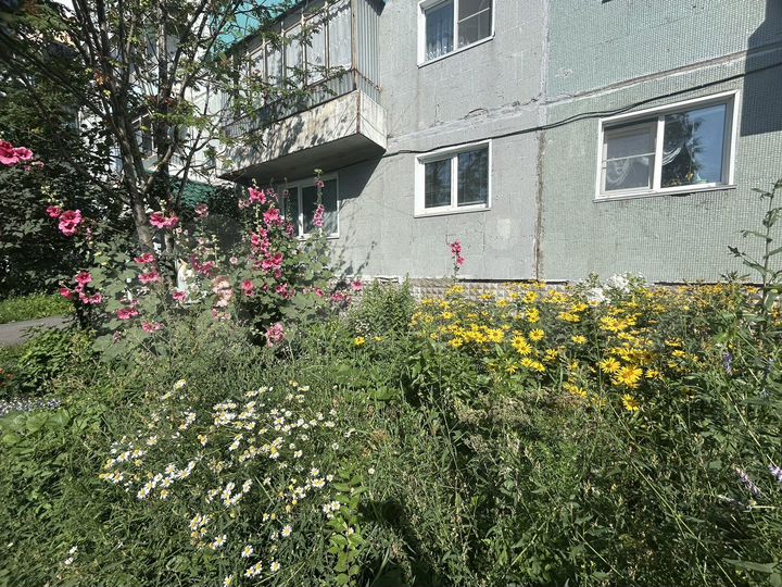 2-к. квартира, 50,3 м², 1/1 эт.