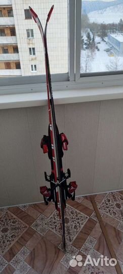 Горные лыжи