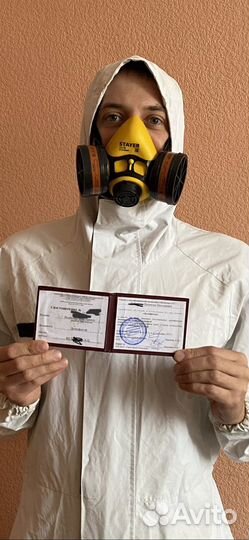 Уничтожение всех видов насекомых