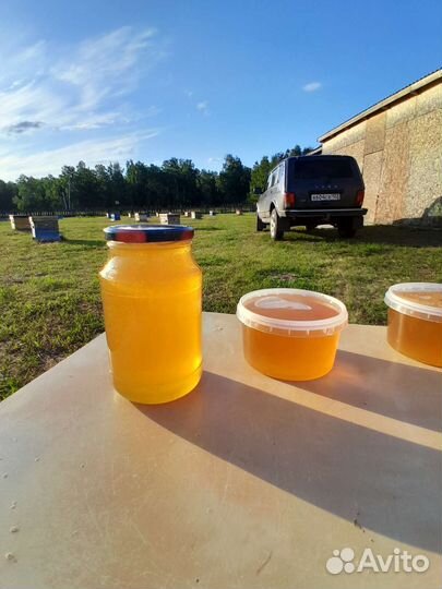 Мед свежий