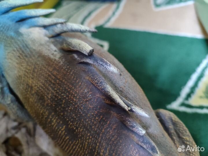 Ящерица(папье-маше)