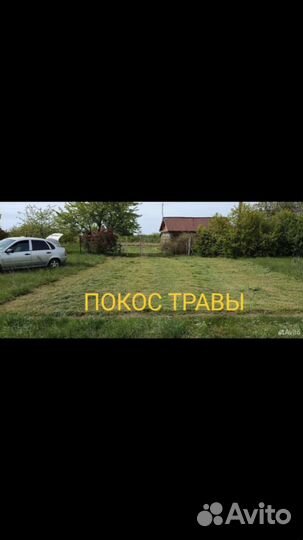 Покос травы триммером