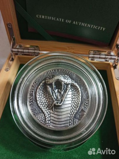 Код-Д' Ивуар 2022г Королевская Кобра