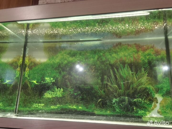 Аквариум ZelAqua 120 литров с тумбой