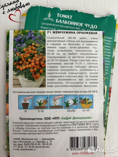 Рассада помидор черри