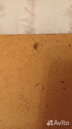 Картина девушка