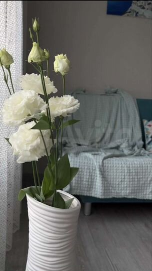 2-к. квартира, 47,7 м², 4/17 эт.